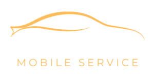 VIP Auto Detailing